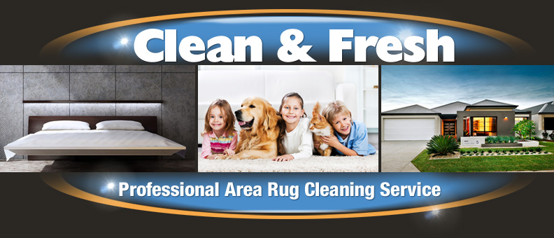 Byron Bay Area Rug cleaning